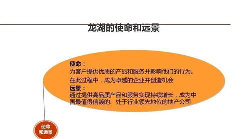 龍湖企業(yè)管理與運(yùn)營精細(xì)化管理策略探討